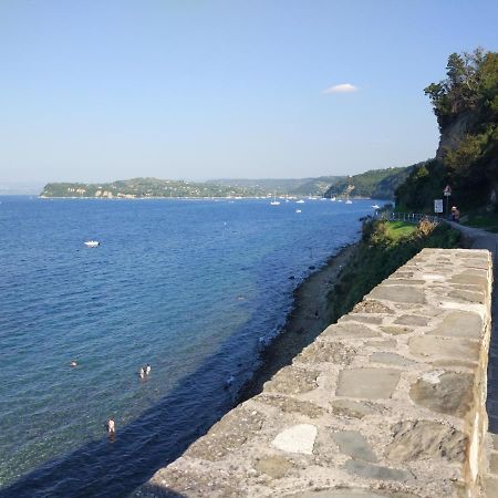 Apartments E & E Piran Zewnętrze zdjęcie